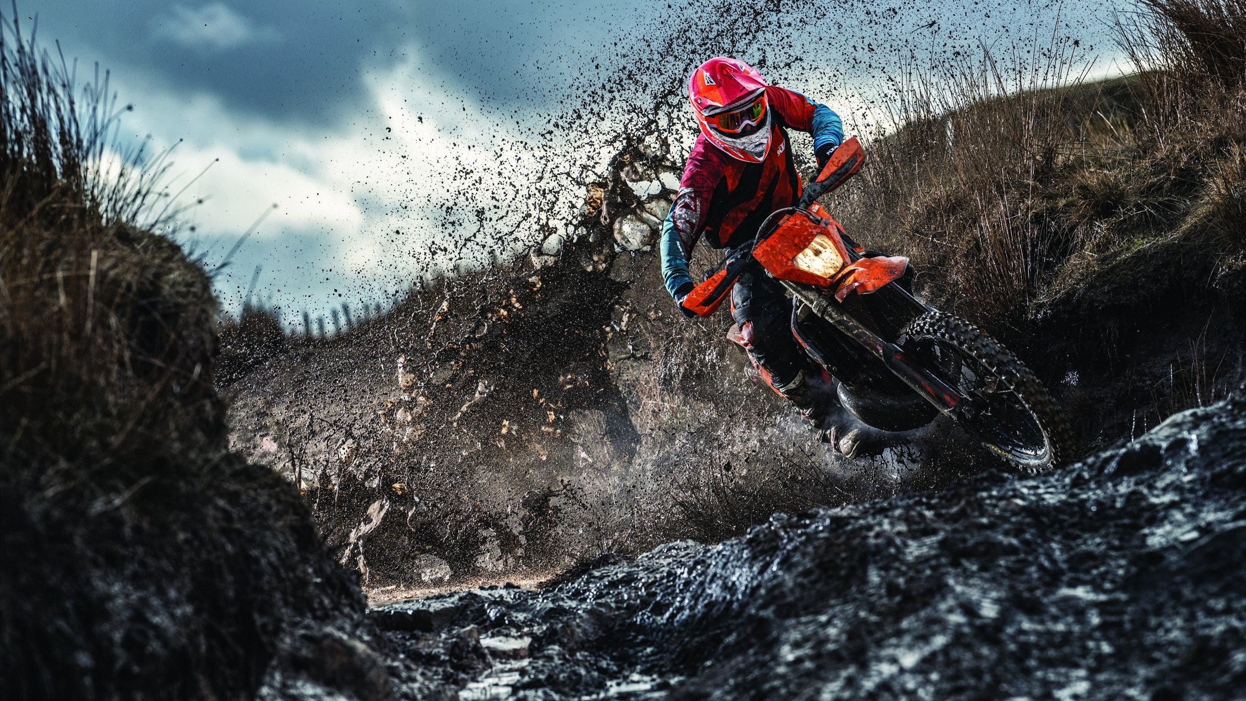 青少年篮球技能培养课程创新，青少年篮球培训课程体系